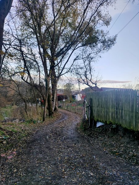 Tutana, Com Baiculesti, judetul Arges